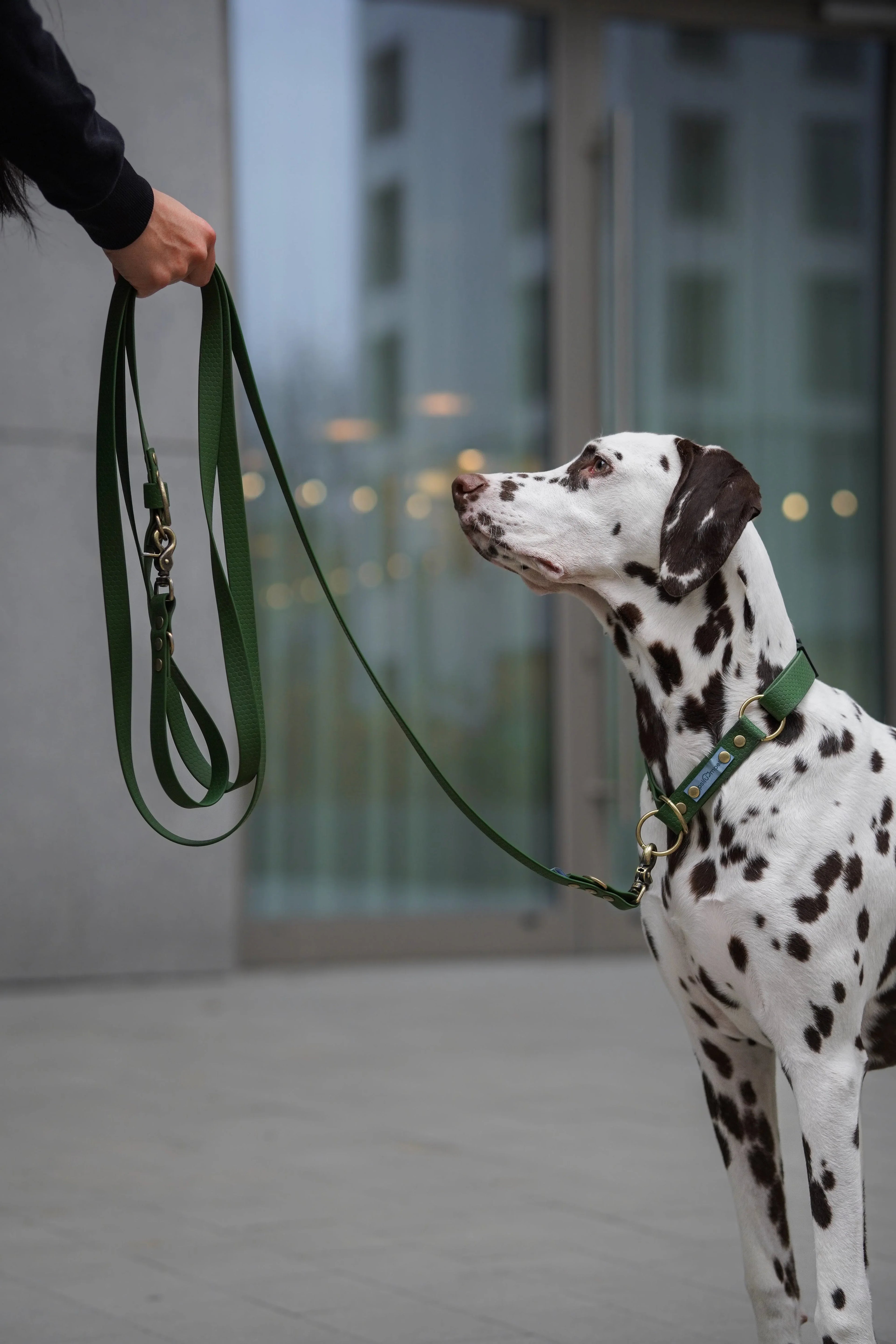 SMYCZE PRZEPINANE Psiumpel, dla Psa i Ciebie, spaceruj modnie i wygodnie