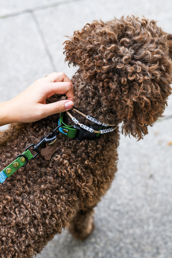 DODATKI DO OBROŻY Psiumpel, dla Psa i Ciebie, spaceruj modnie i wygodnie