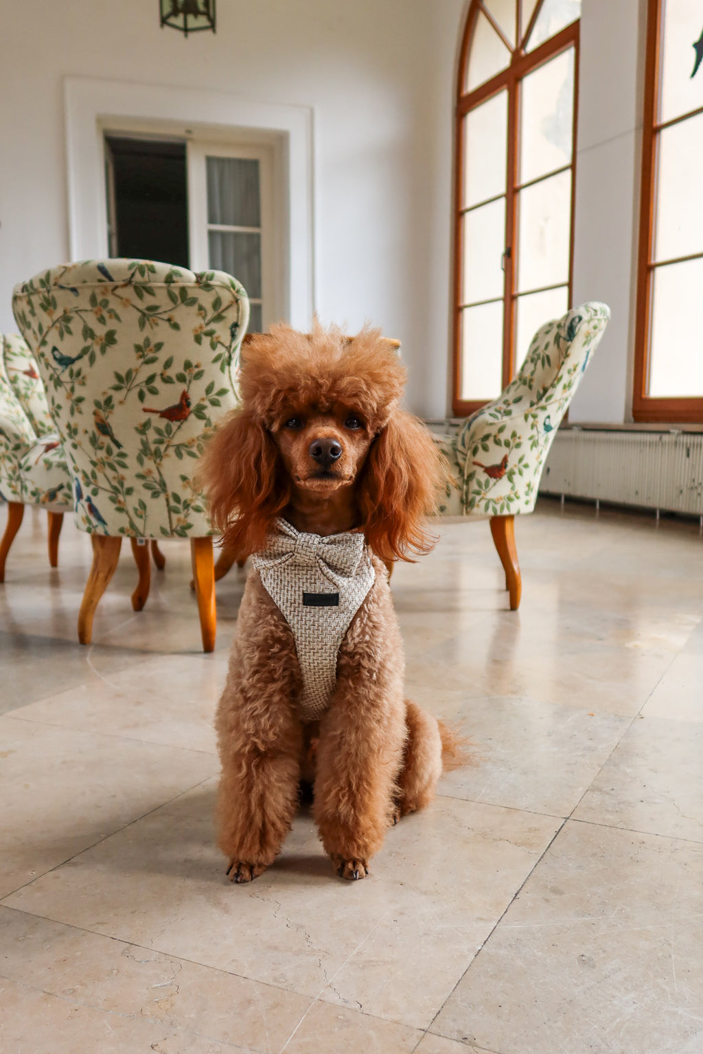 Bezuciskowe szelki guard - TWEED