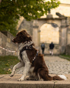 Bezuciskowe szelki guard z panelem komfort VELLUTO & MARBLE