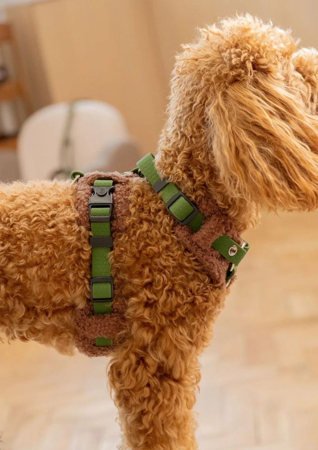 Bezuciskowe szelki guard - TEDDY Psiumpel, dla Psa i dla Ciebie, spaceruj modnie i wygodnie