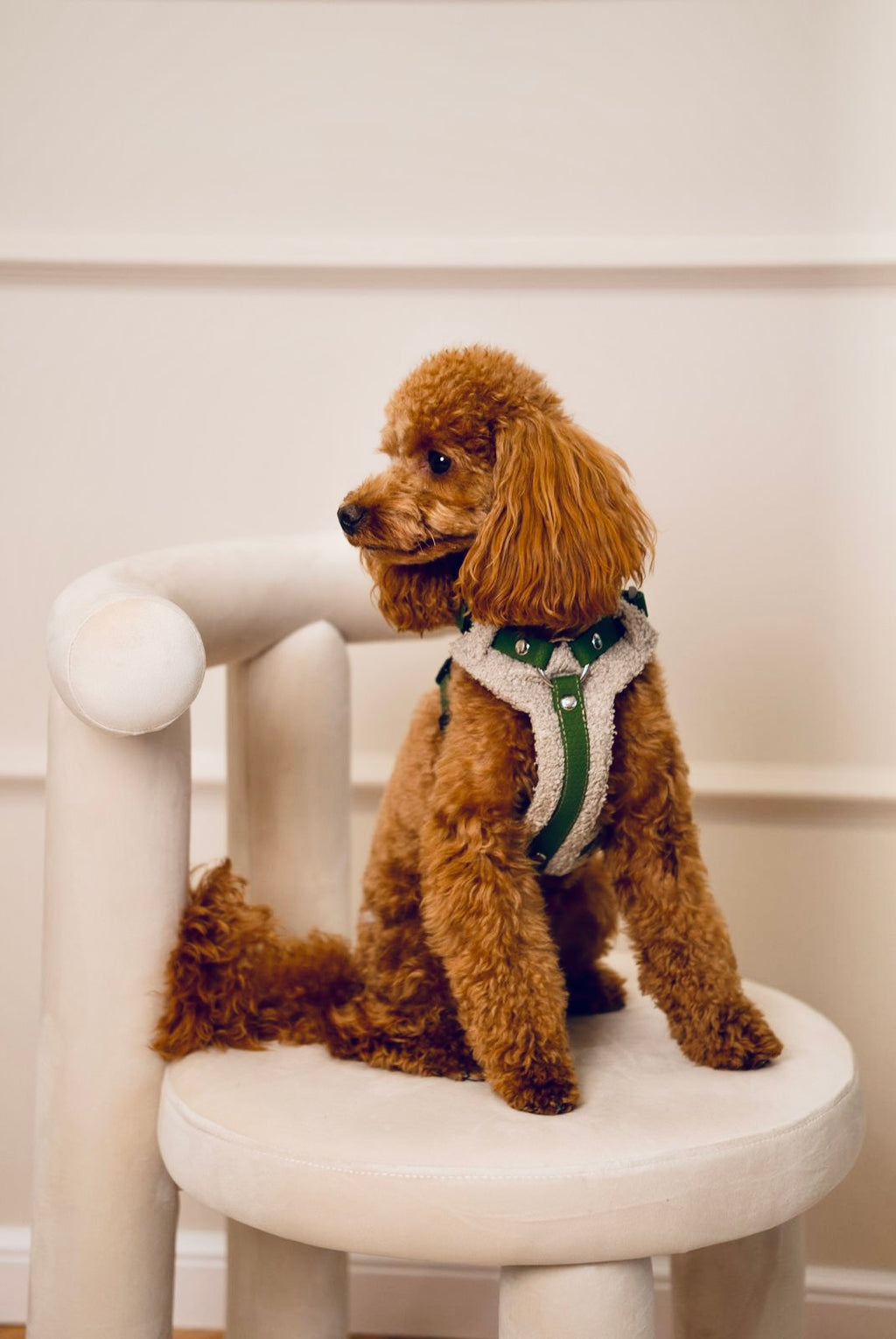 Bezuciskowe szelki guard - TEDDY Psiumpel, dla Psa i dla Ciebie, spaceruj modnie i wygodnie