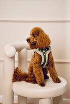 Bezuciskowe szelki guard - TEDDY Psiumpel, dla Psa i dla Ciebie, spaceruj modnie i wygodnie