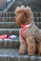 Bezuciskowe szelki guard - HEARTS Psiumpel, dla Psa i dla Ciebie, spaceruj modnie i wygodnie