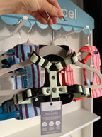 Bezuciskowe szelki guard - SUMMER LINES