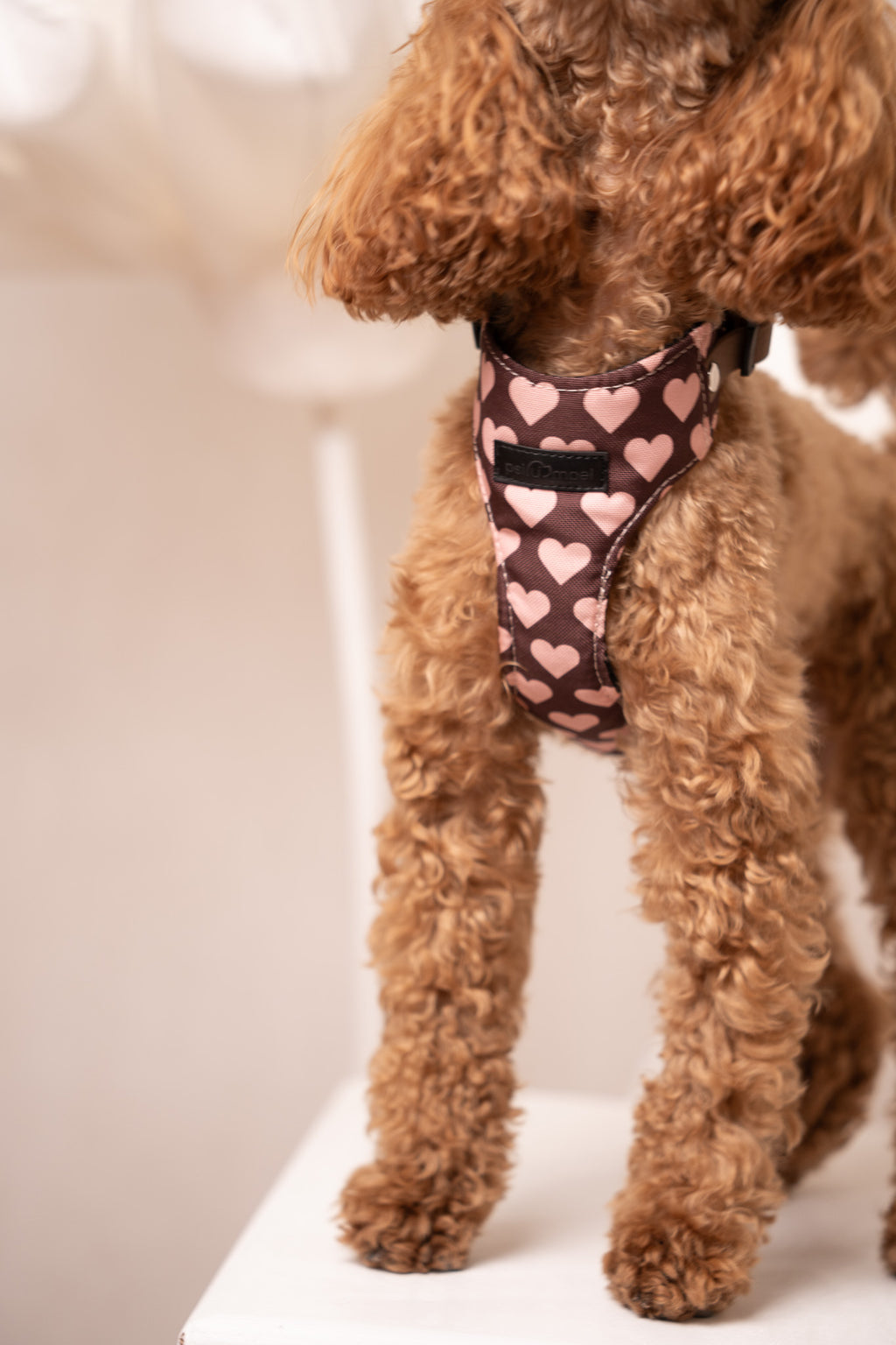 Bezuciskowe szelki guard - HEARTS Psiumpel, dla Psa i dla Ciebie, spaceruj modnie i wygodnie
