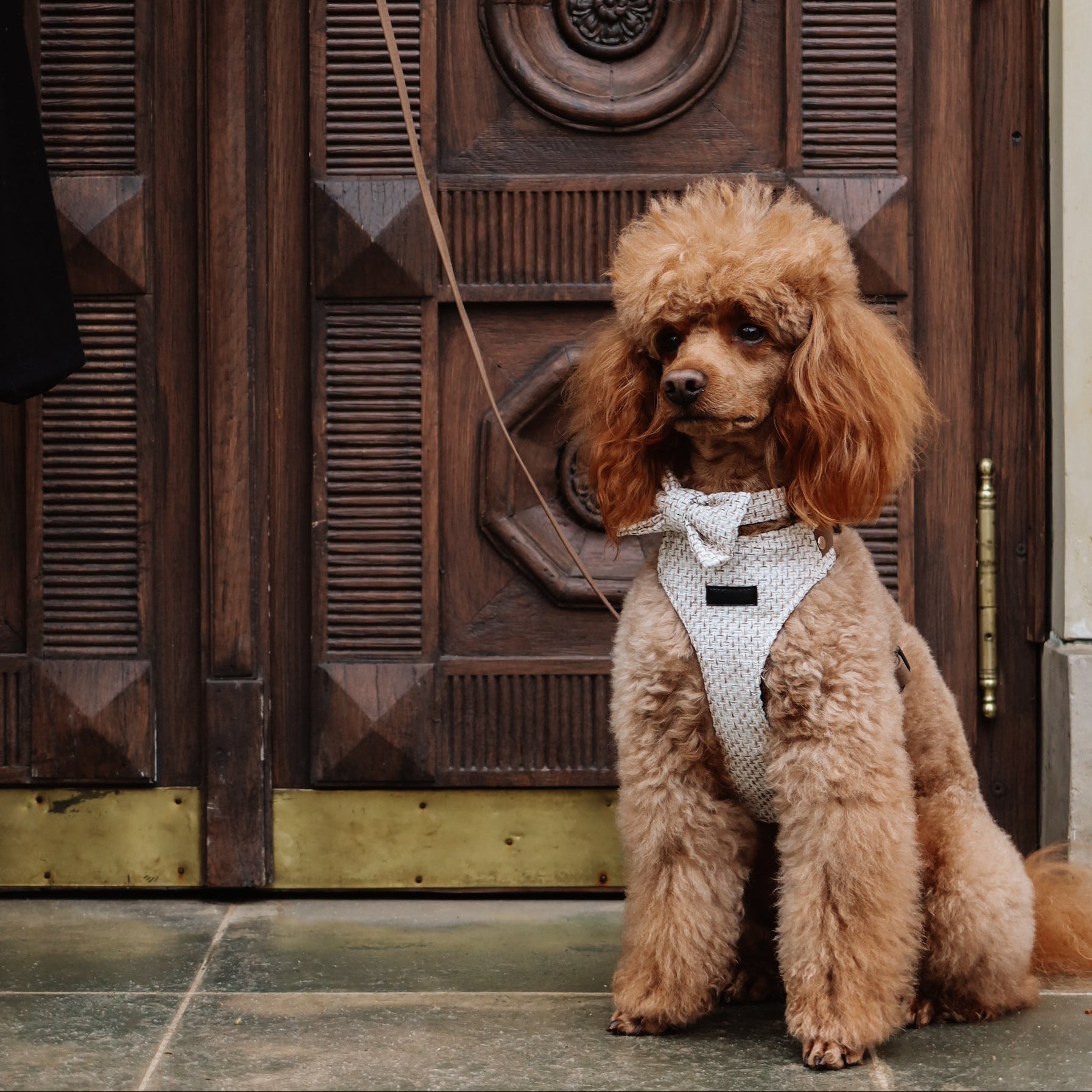 Bezuciskowe szelki guard - TWEED Psiumpel, dla Psa i dla Ciebie, spaceruj modnie i wygodnie