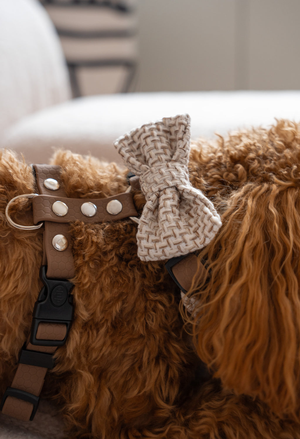 Bezuciskowe szelki guard - TWEED Psiumpel, dla Psa i dla Ciebie, spaceruj modnie i wygodnie