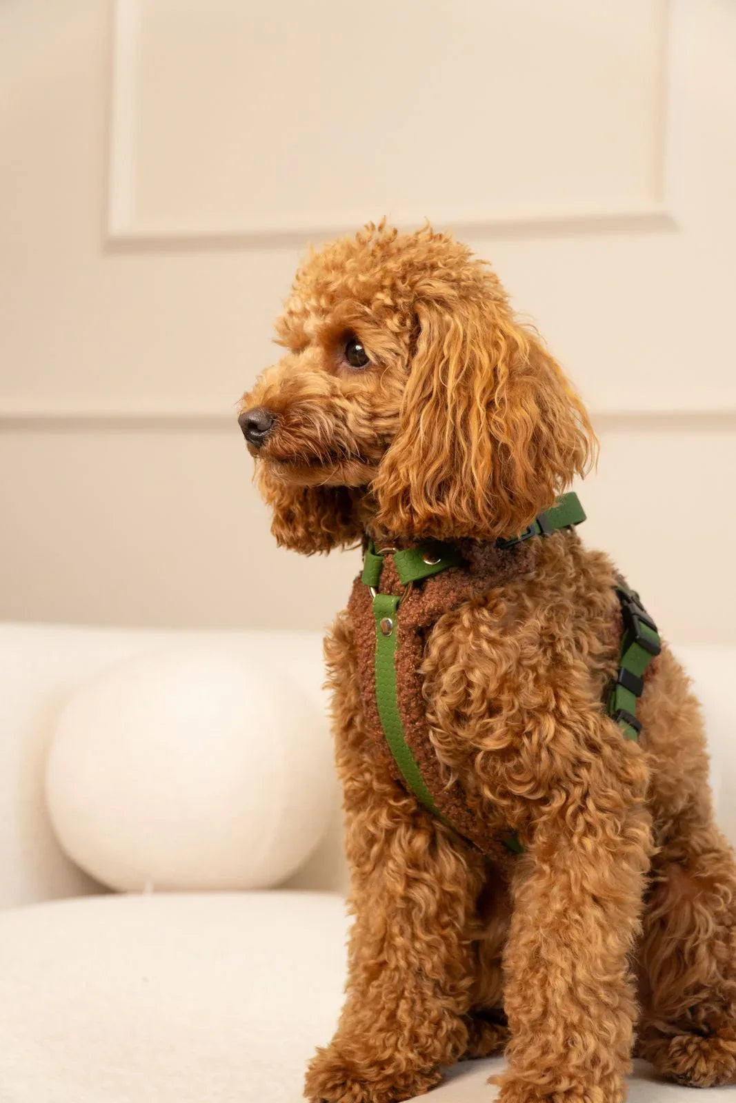 Bezuciskowe szelki guard - TEDDY Psiumpel, dla Psa i dla Ciebie, spaceruj modnie i wygodnie