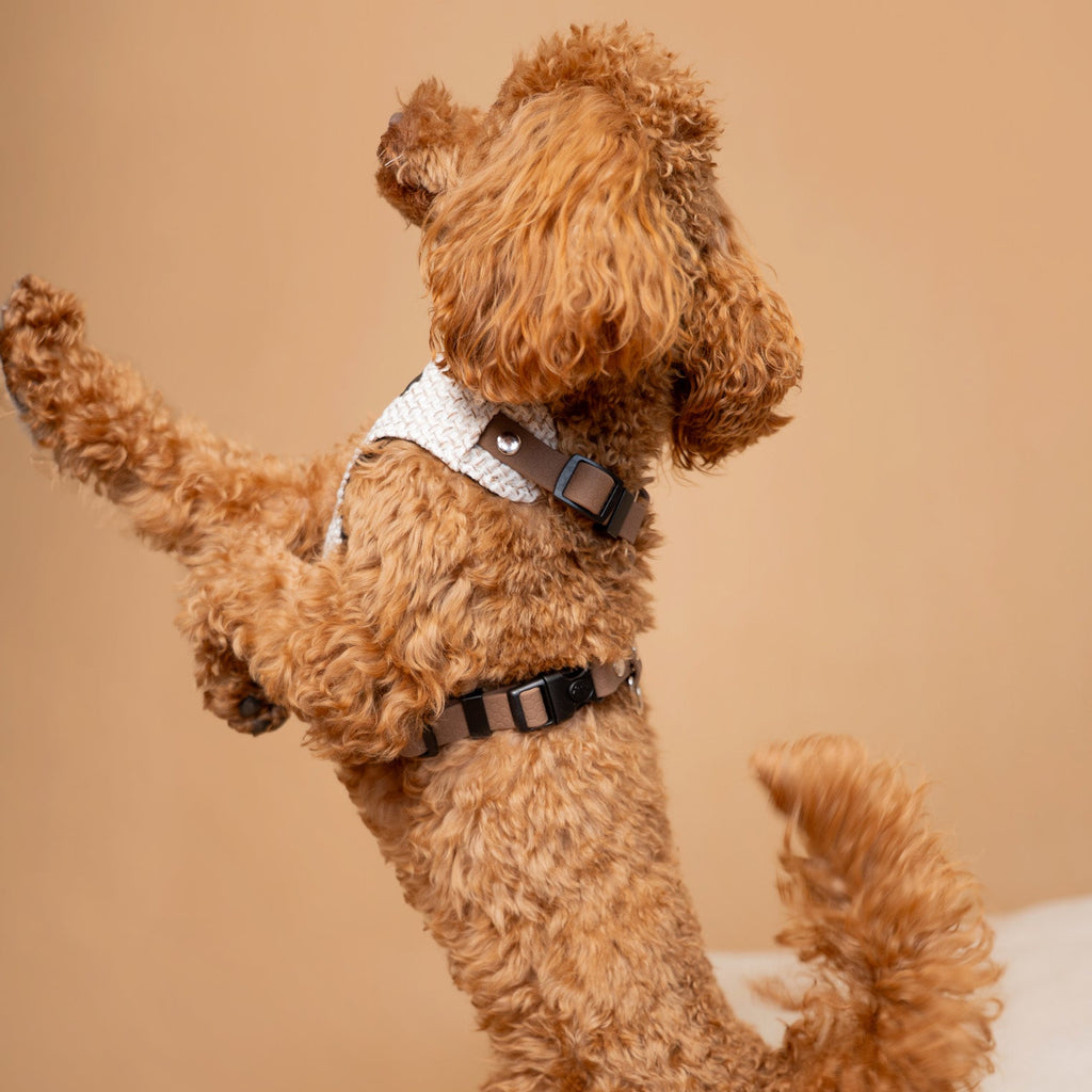 Bezuciskowe szelki guard - TWEED Psiumpel, dla Psa i dla Ciebie, spaceruj modnie i wygodnie