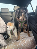 Bezuciskowe szelki guard - TEDDY Psiumpel, dla Psa i dla Ciebie, spaceruj modnie i wygodnie