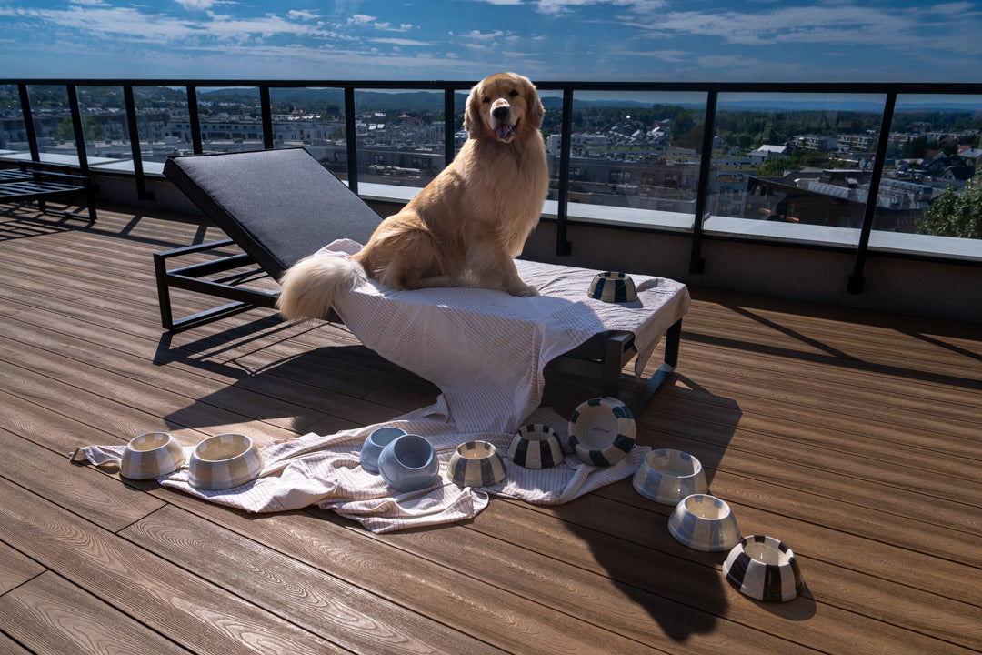 Miska ceramiczna