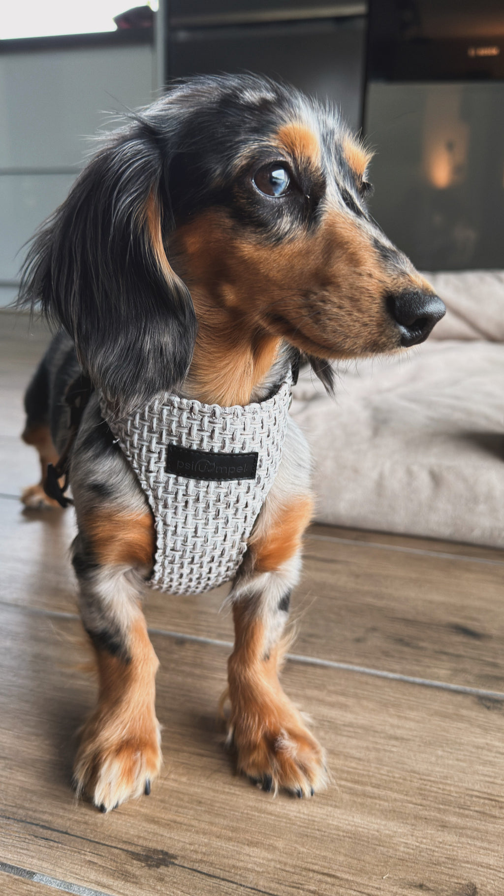 Bezuciskowe szelki guard - TWEED GREY