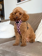 Bezuciskowe szelki guard - HEARTS Psiumpel, dla Psa i dla Ciebie, spaceruj modnie i wygodnie