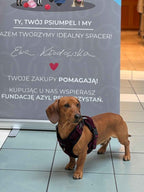 Bezuciskowe szelki guard z panelem komfort