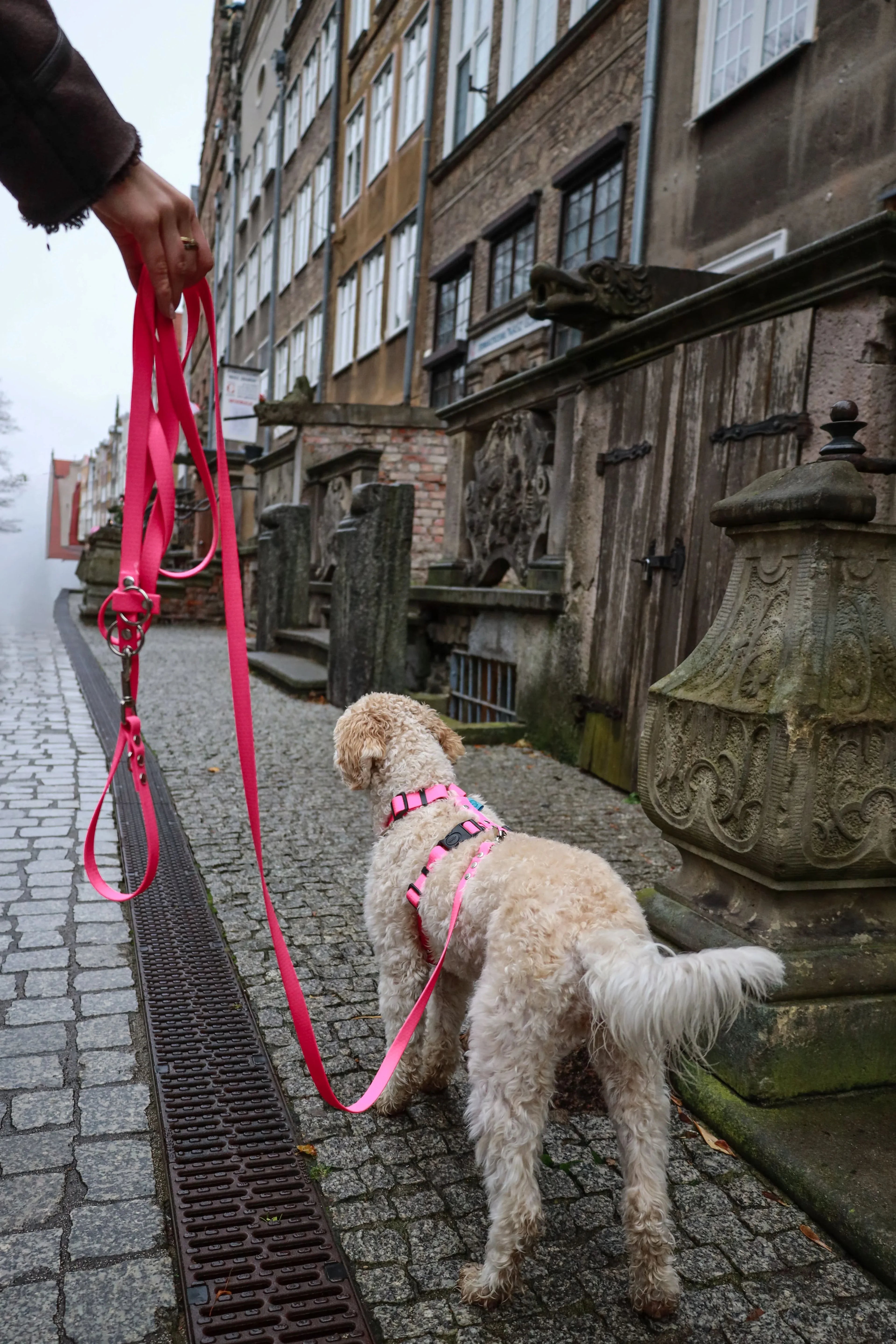 Smycz przepinana Psiumpel, dla Psa i dla Ciebie, spaceruj modnie i wygodnie