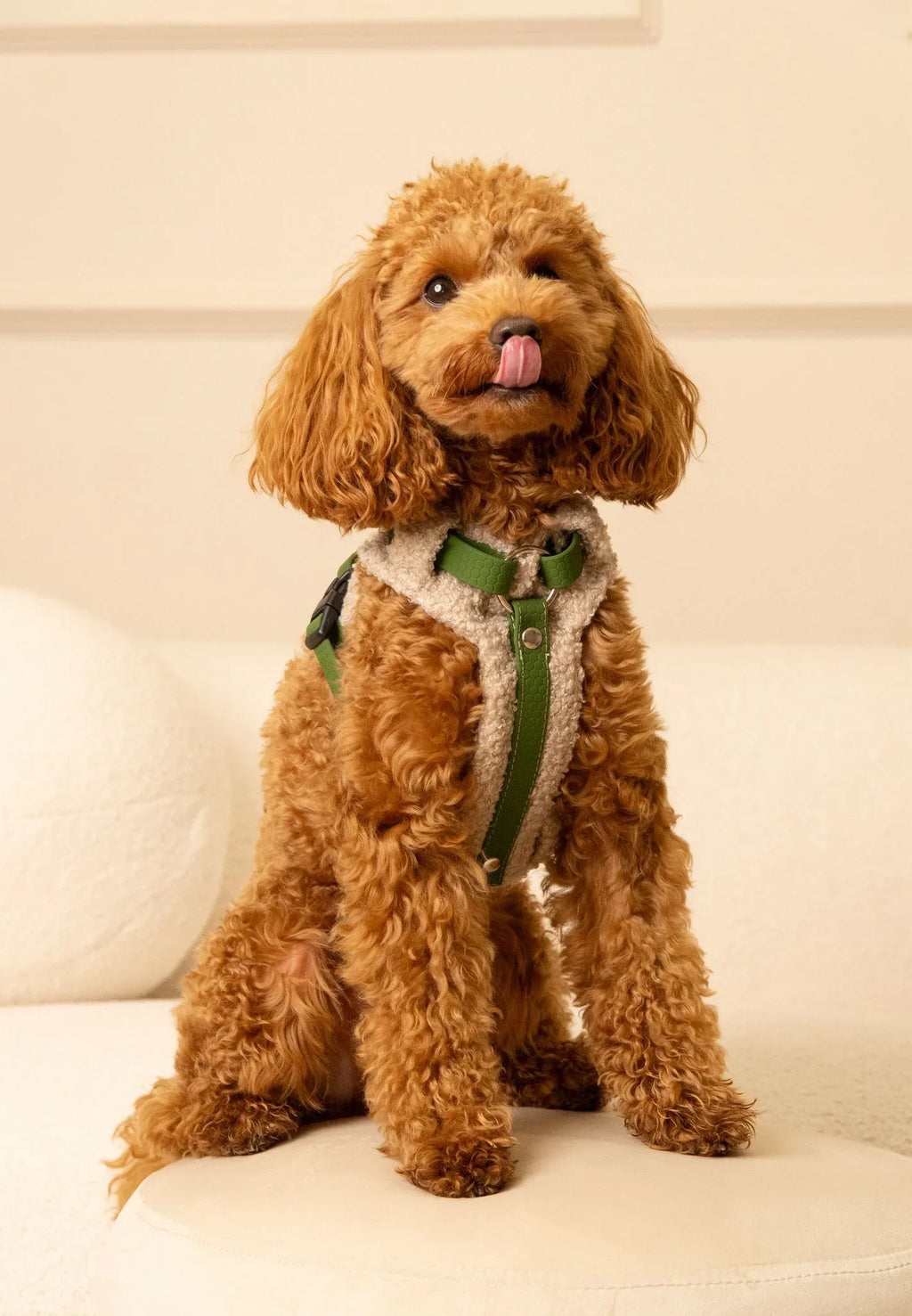 Bezuciskowe szelki guard - TEDDY Psiumpel, dla Psa i dla Ciebie, spaceruj modnie i wygodnie