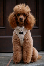 Bezuciskowe szelki guard - TWEED Psiumpel, dla Psa i dla Ciebie, spaceruj modnie i wygodnie