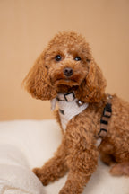 Bezuciskowe szelki guard - TWEED Psiumpel, dla Psa i dla Ciebie, spaceruj modnie i wygodnie