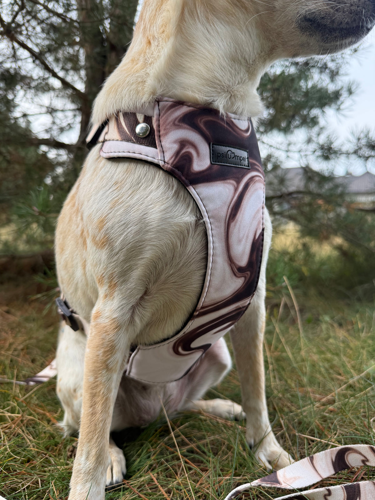 Bezuciskowe szelki guard - MARBLE