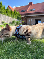 Bezuciskowe szelki kamizelkowe dla kota