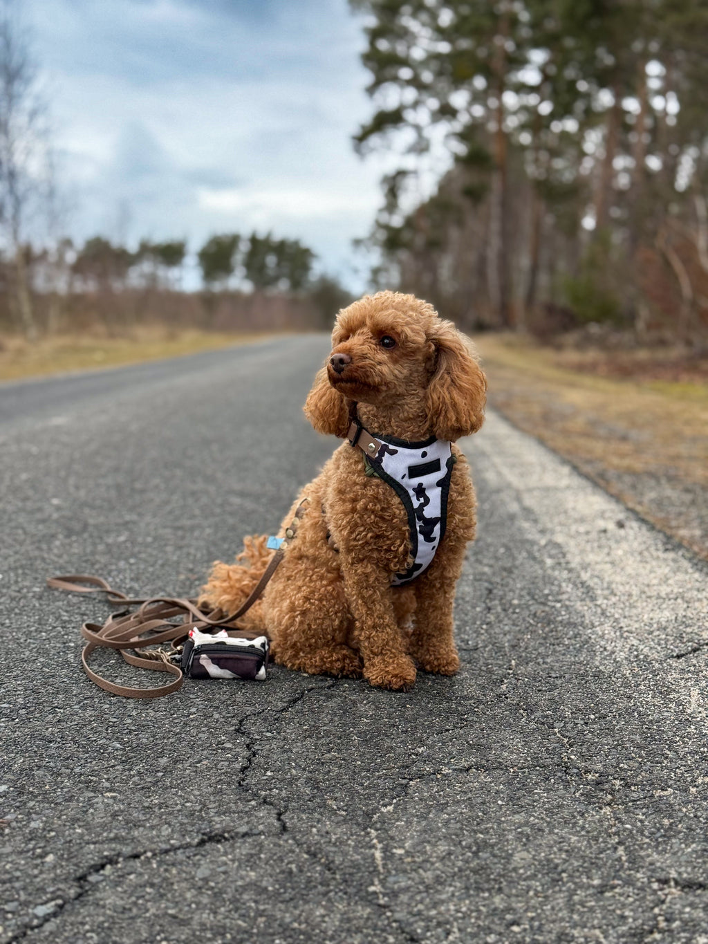 Bezuciskowe szelki guard - WILD Psiumpel, dla Psa i dla Ciebie, spaceruj modnie i wygodnie