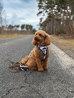 Bezuciskowe szelki guard - WILD Psiumpel, dla Psa i dla Ciebie, spaceruj modnie i wygodnie