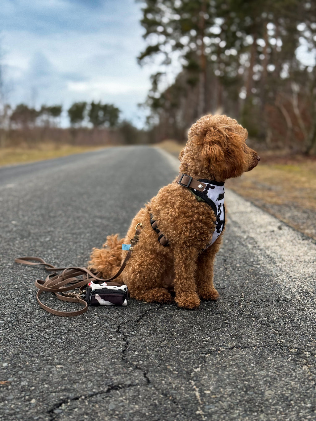 Bezuciskowe szelki guard - WILD Psiumpel, dla Psa i dla Ciebie, spaceruj modnie i wygodnie