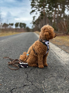 Bezuciskowe szelki guard - WILD Psiumpel, dla Psa i dla Ciebie, spaceruj modnie i wygodnie