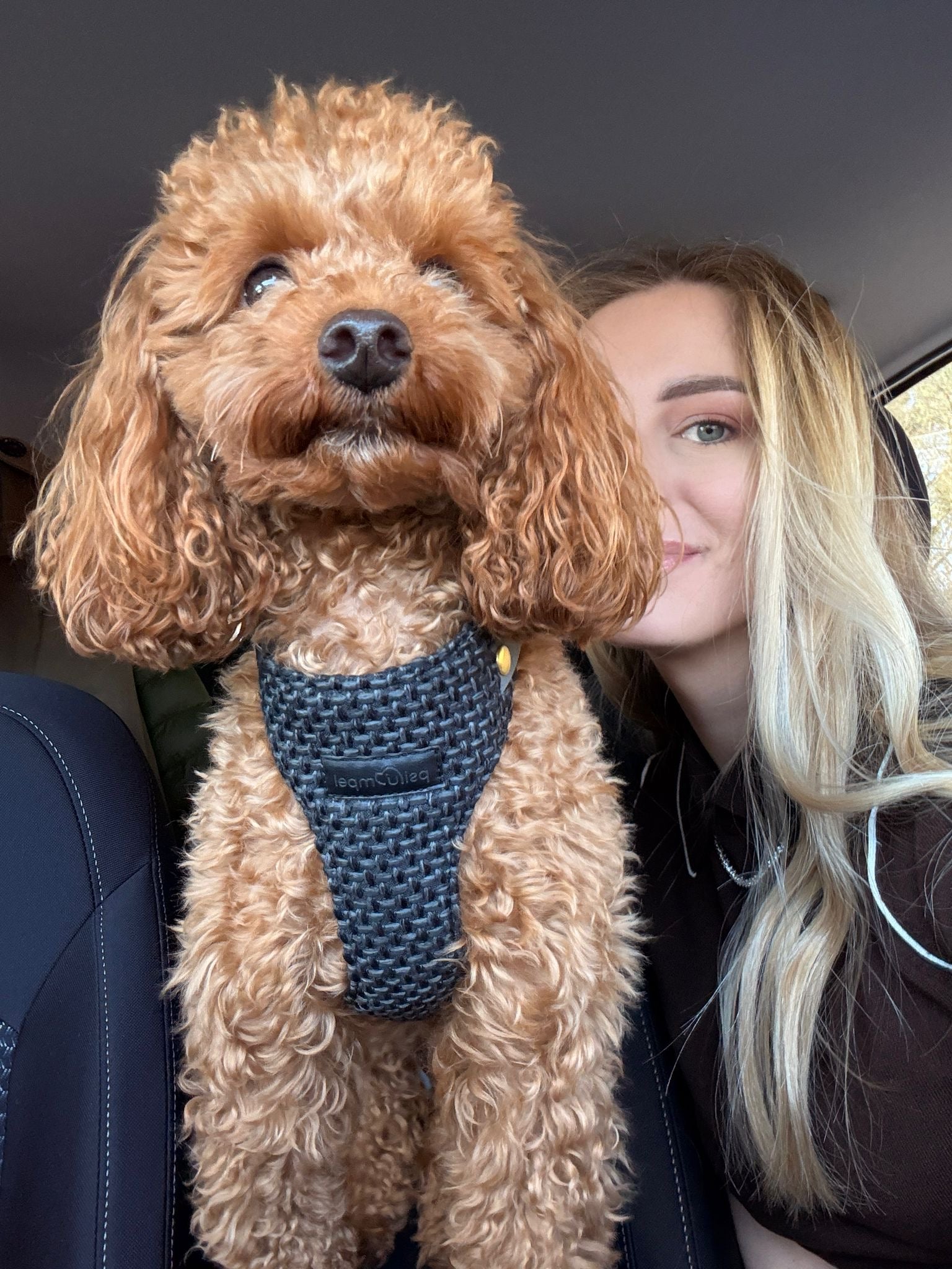 Bezuciskowe szelki guard - TWEED BLACK