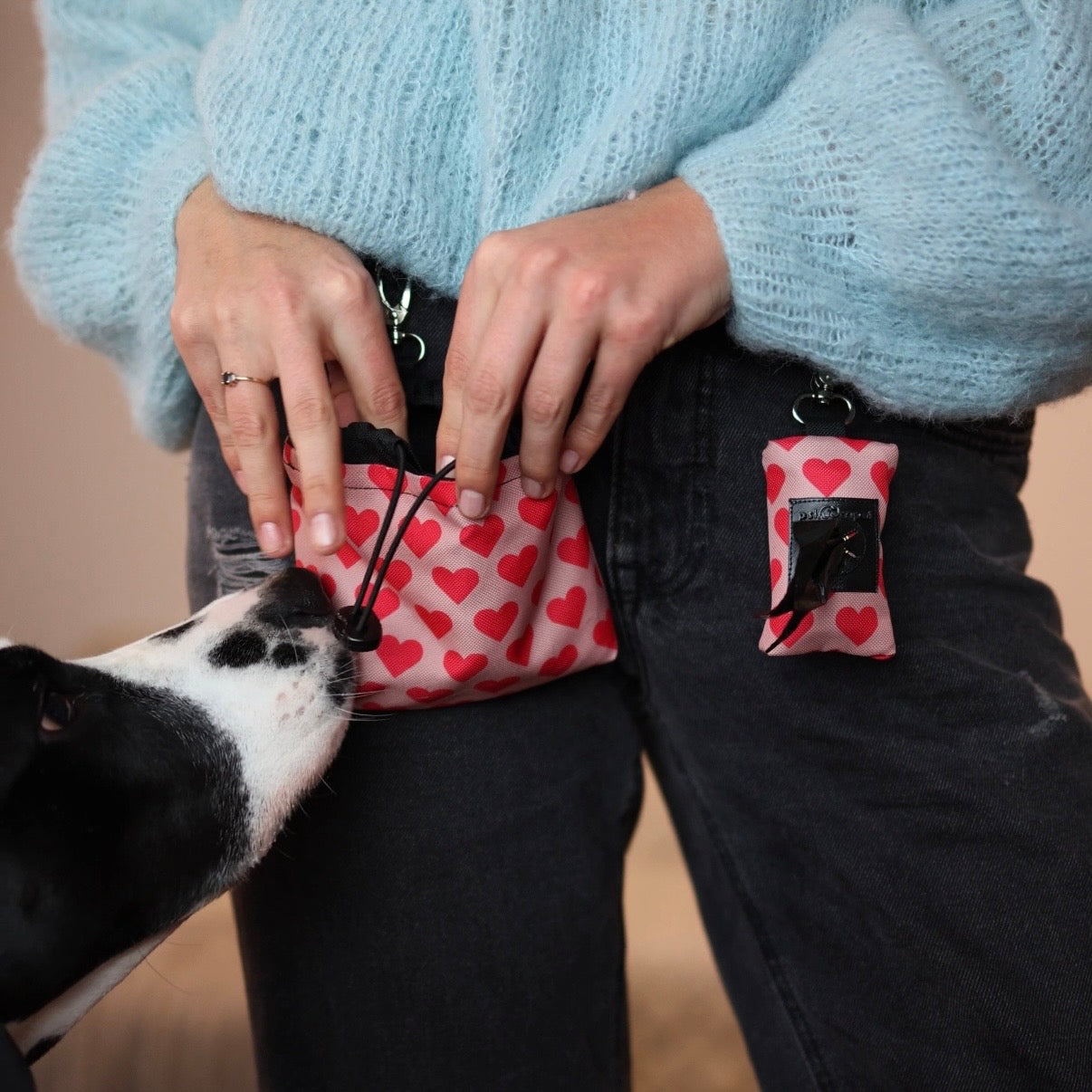 Etui na woreczki HEARTS Psiumpel, dla Psa i dla Ciebie, spaceruj modnie i wygodnie