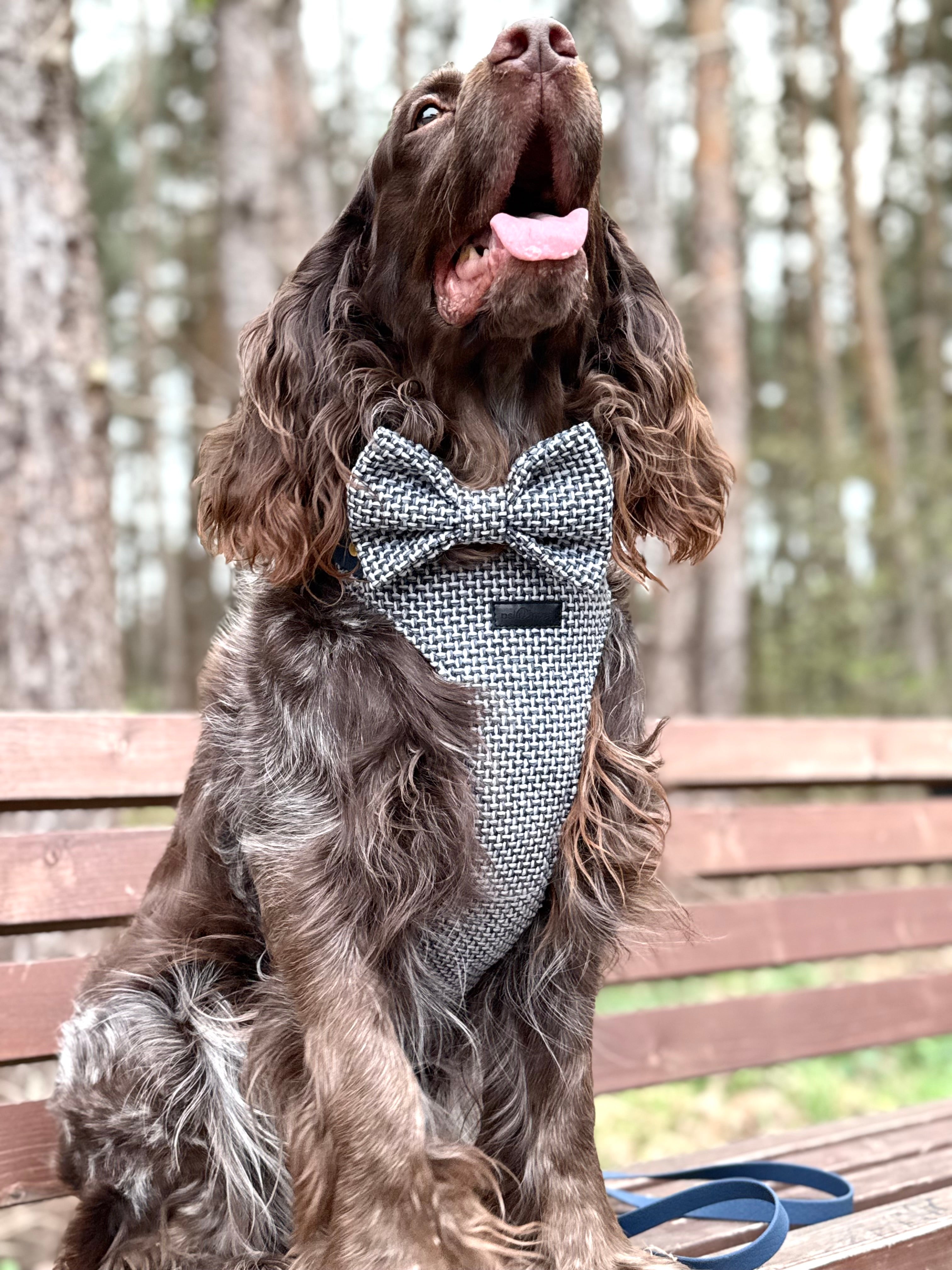 Bezuciskowe szelki guard - TWEED BLUE Psiumpel, dla Psa i dla Ciebie, spaceruj modnie i wygodnie