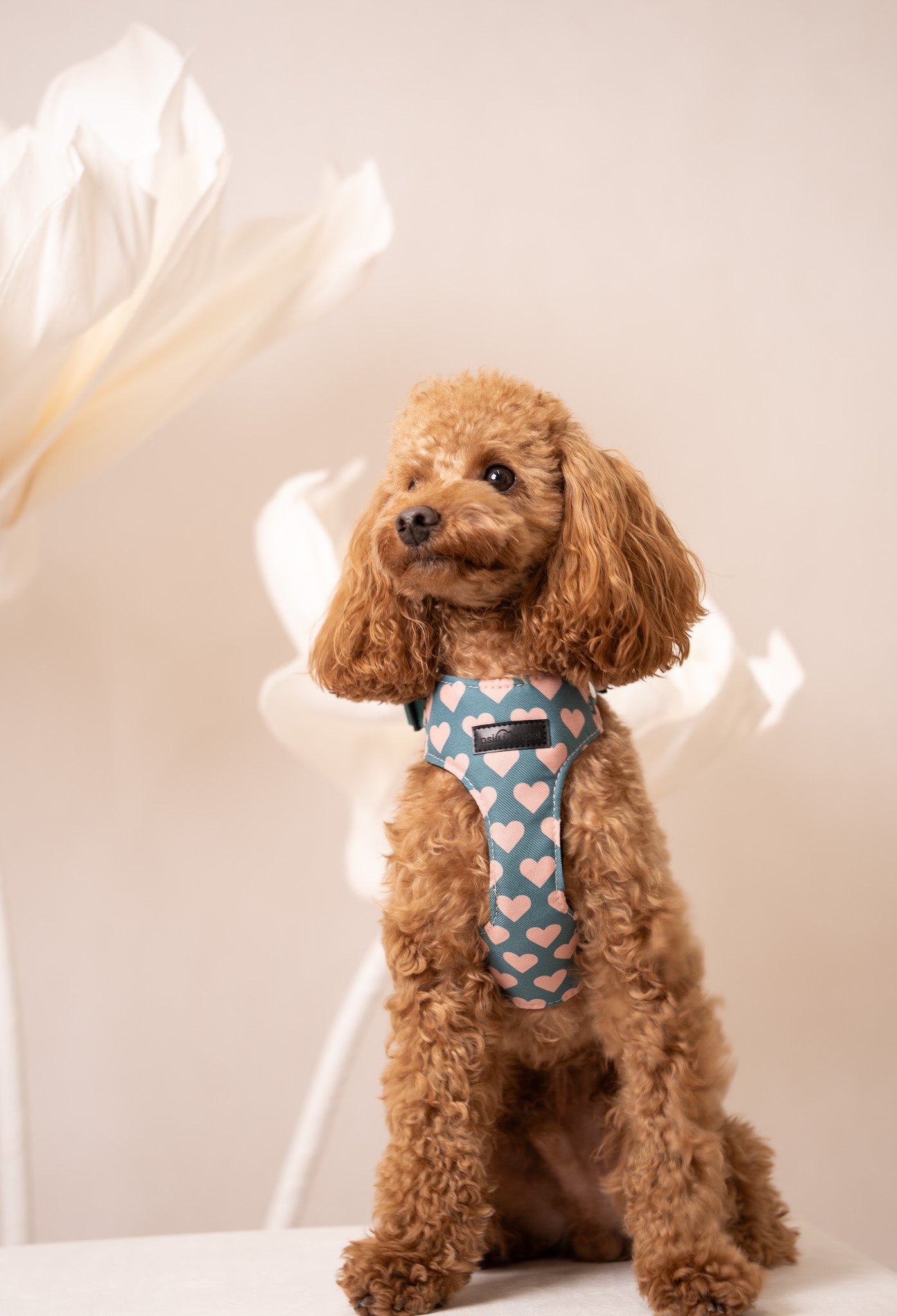 Bezuciskowe szelki guard - HEARTS Psiumpel, dla Psa i dla Ciebie, spaceruj modnie i wygodnie