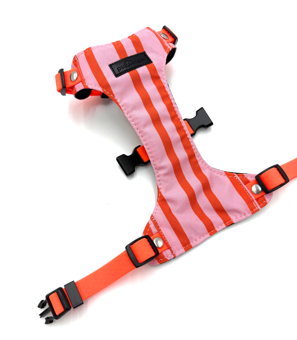 Bezuciskowe szelki guard - SUMMER LINES