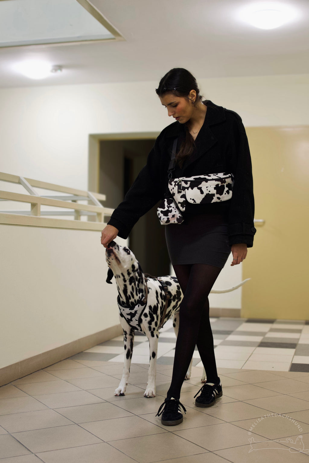 Bezuciskowe szelki guard - WILD Psiumpel, dla Psa i dla Ciebie, spaceruj modnie i wygodnie