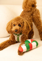 Bezuciskowe szelki guard - TEDDY Psiumpel, dla Psa i dla Ciebie, spaceruj modnie i wygodnie