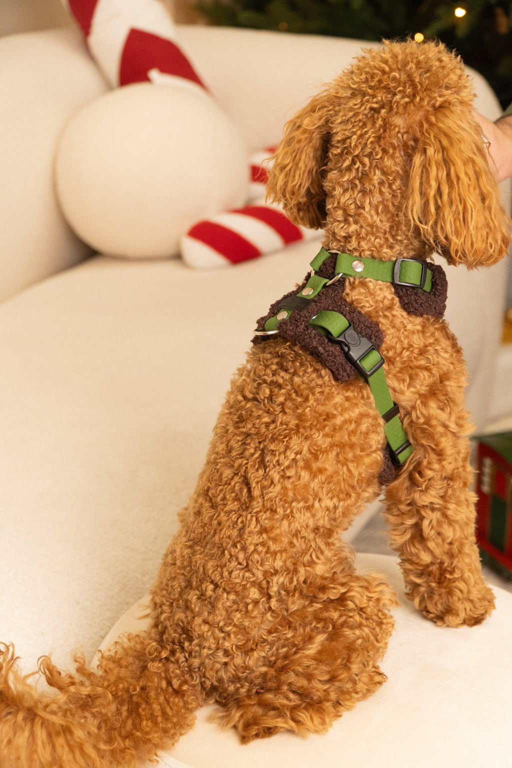 Bezuciskowe szelki guard - TEDDY Psiumpel, dla Psa i dla Ciebie, spaceruj modnie i wygodnie