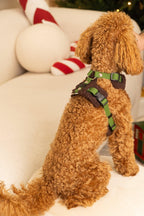 Bezuciskowe szelki guard - TEDDY Psiumpel, dla Psa i dla Ciebie, spaceruj modnie i wygodnie