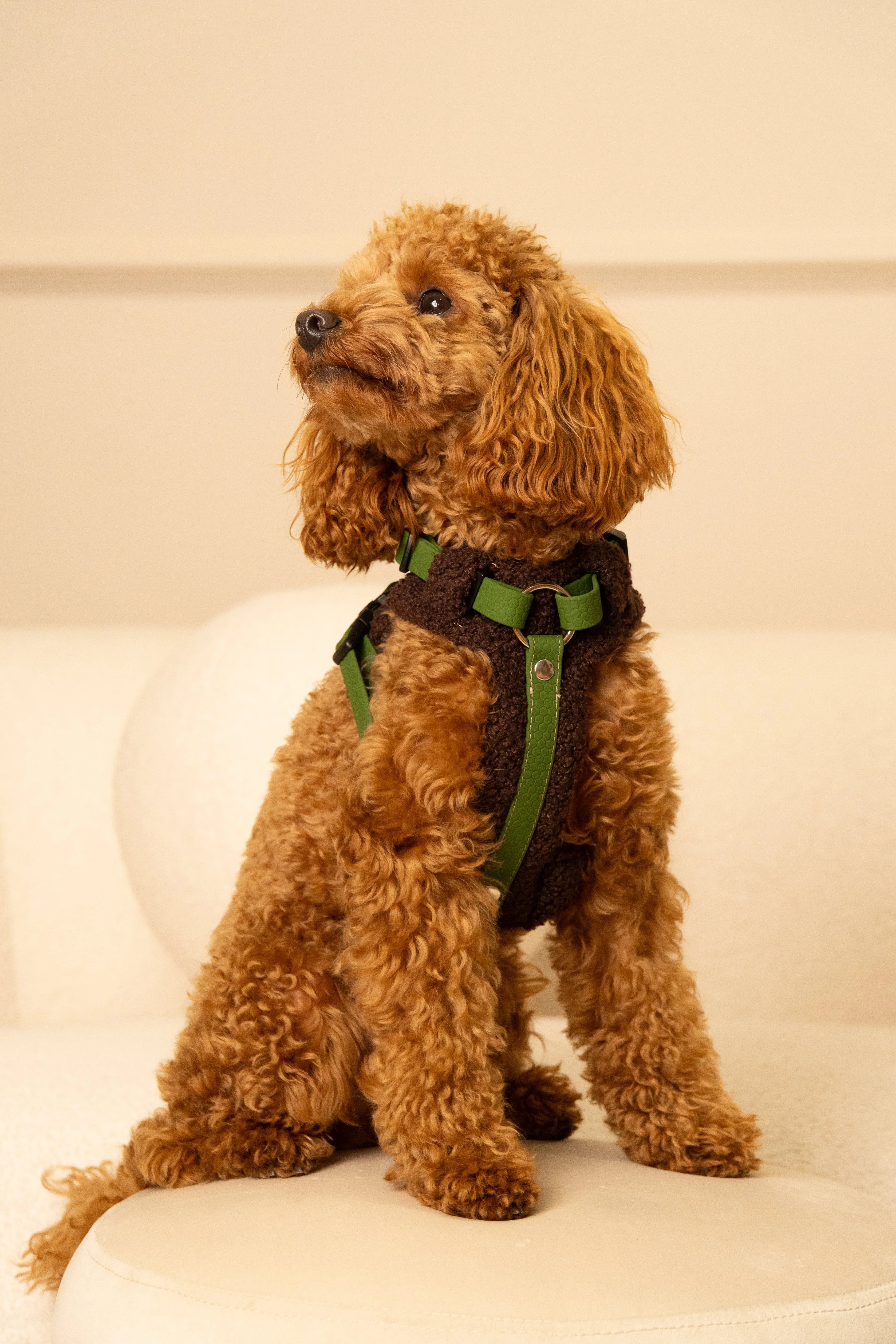 Bezuciskowe szelki guard - TEDDY Psiumpel, dla Psa i dla Ciebie, spaceruj modnie i wygodnie