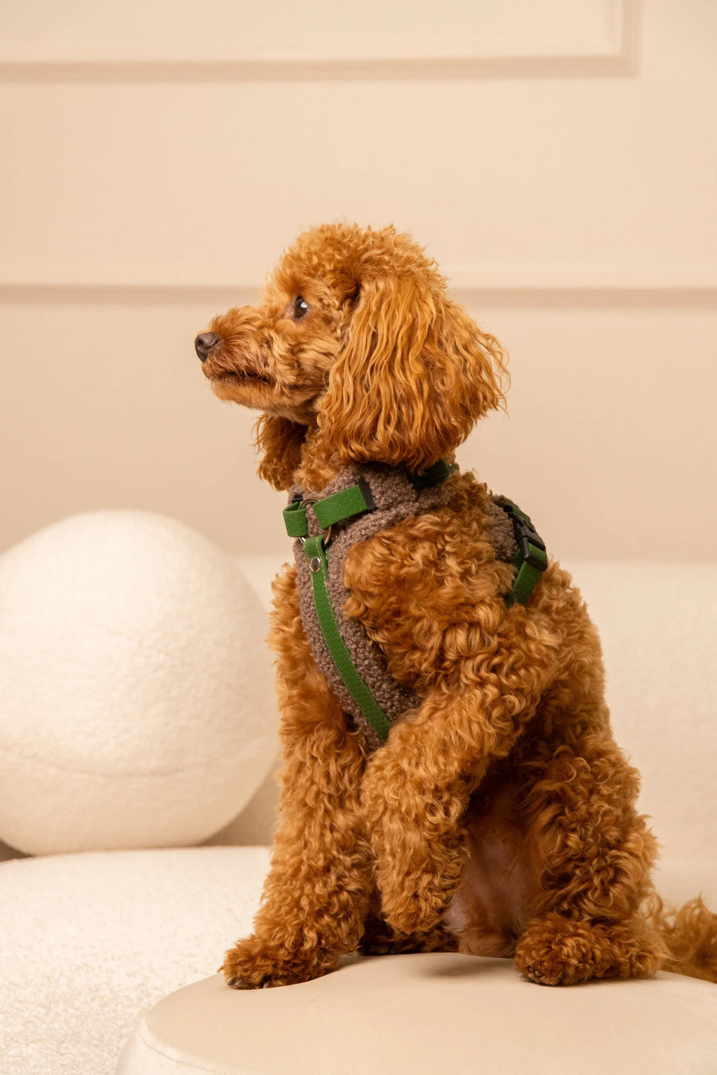 Bezuciskowe szelki guard - TEDDY Psiumpel, dla Psa i dla Ciebie, spaceruj modnie i wygodnie