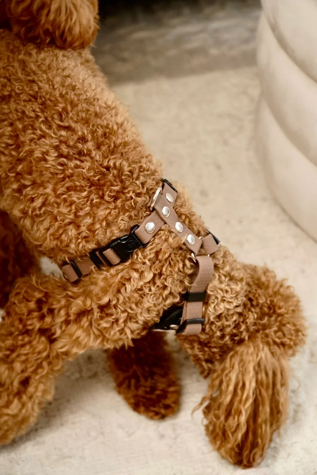 Bezuciskowe szelki guard - WILD Psiumpel, dla Psa i dla Ciebie, spaceruj modnie i wygodnie