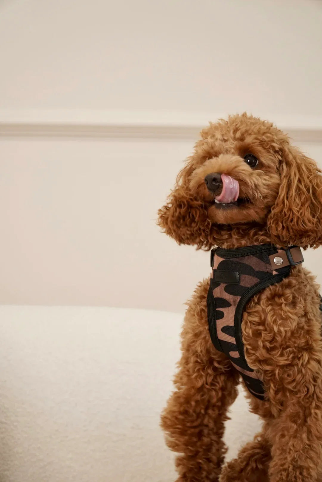 Bezuciskowe szelki guard - WILD Psiumpel, dla Psa i dla Ciebie, spaceruj modnie i wygodnie