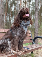 Kokarda/Mucha TWEED BLUE - dodatek do obroży i szelek Psiumpel, dla Psa i dla Ciebie, spaceruj modnie i wygodnie