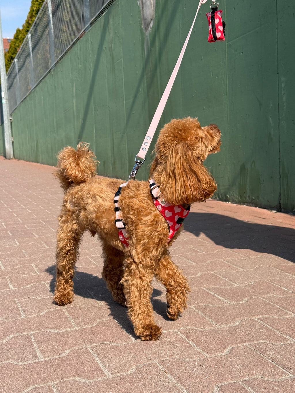 Bezuciskowe szelki guard - HEARTS Psiumpel, dla Psa i dla Ciebie, spaceruj modnie i wygodnie