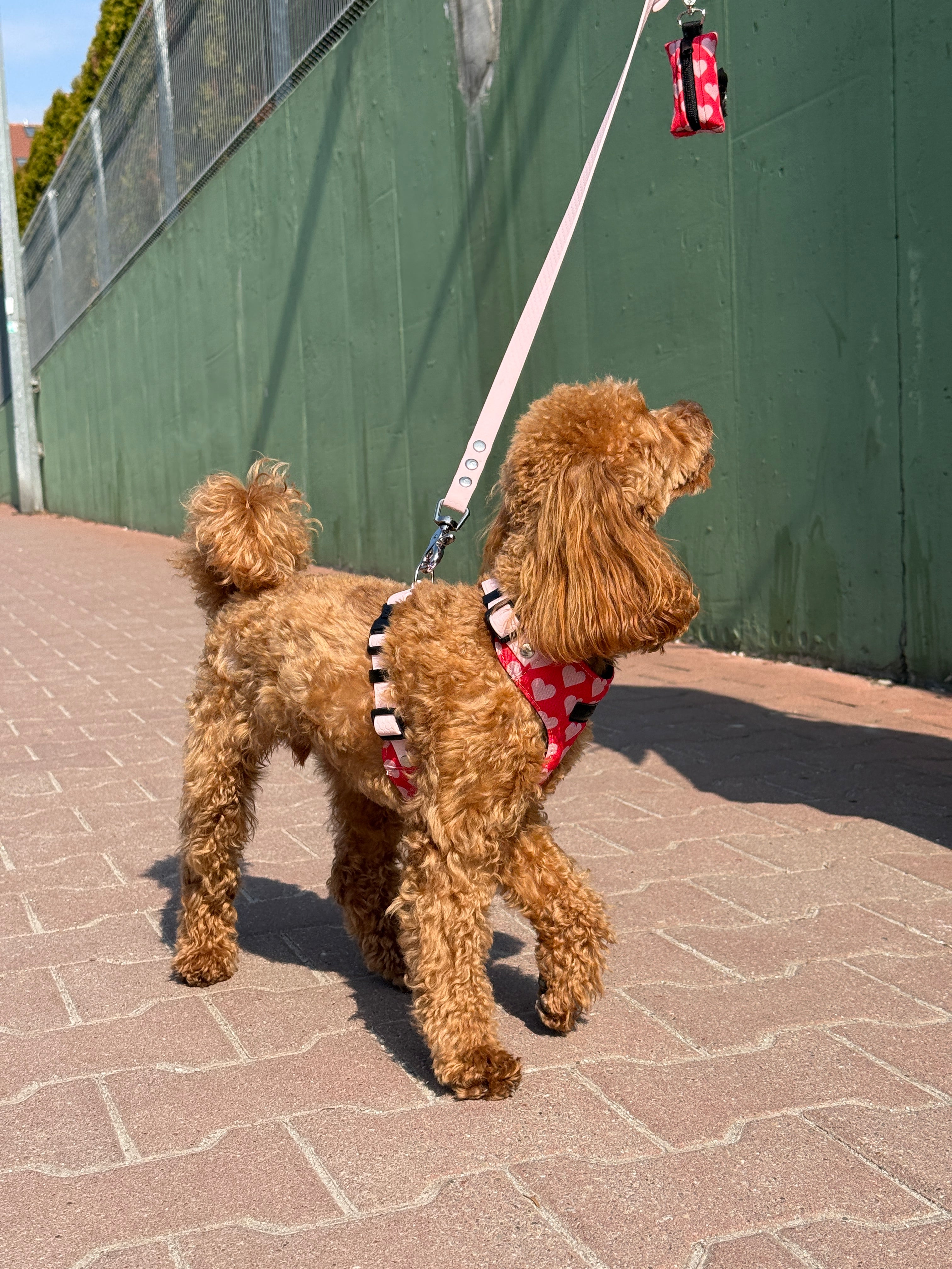 Bezuciskowe szelki guard - HEARTS Psiumpel, dla Psa i dla Ciebie, spaceruj modnie i wygodnie
