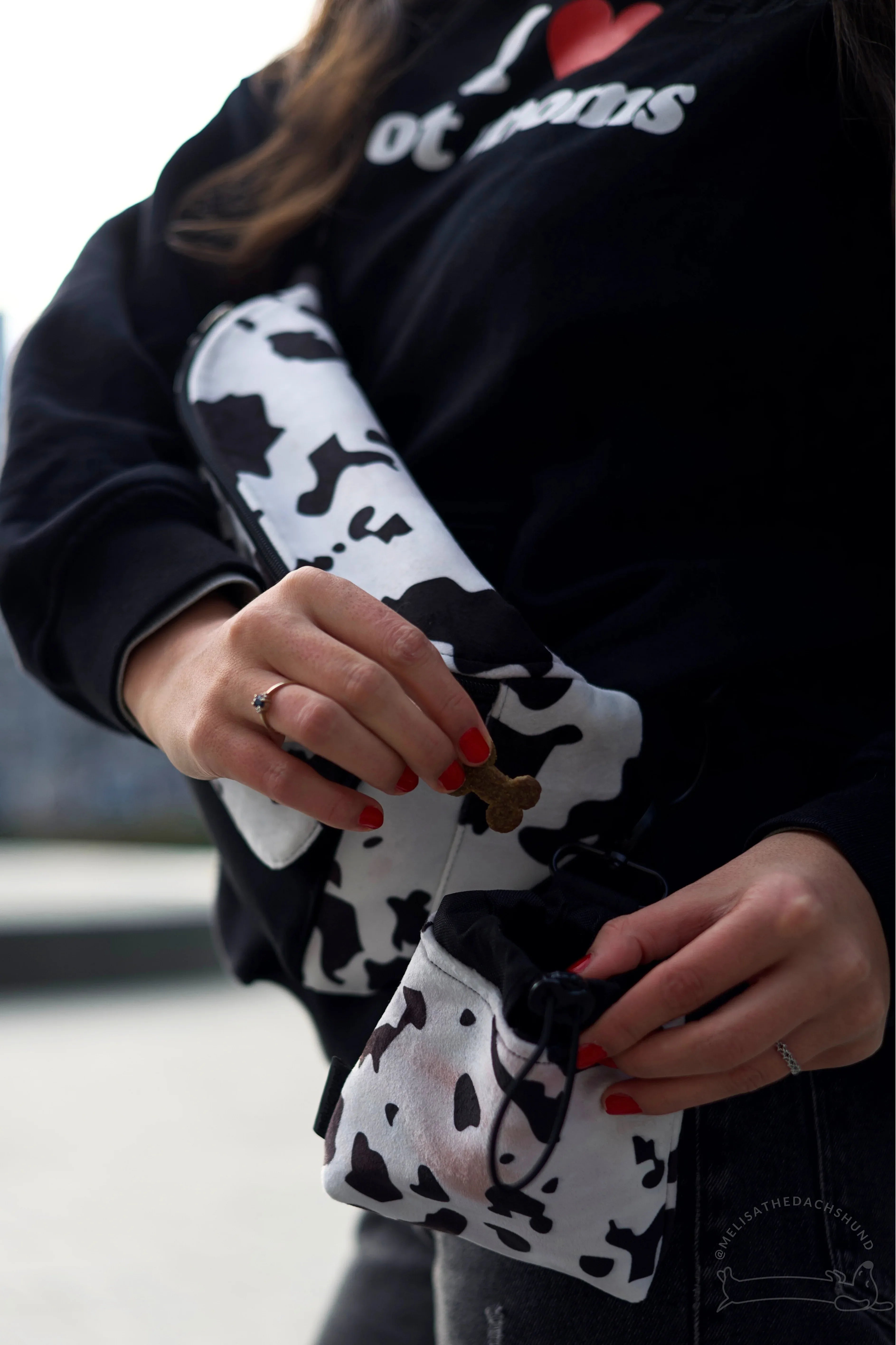 Saszetka na smaczki WILD Psiumpel, dla Psa i dla Ciebie, spaceruj modnie i wygodnie