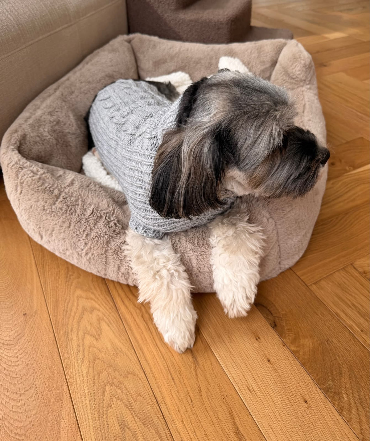 Sweter MERINO Psiumpel, dla Psa i dla Ciebie, spaceruj modnie i wygodnie