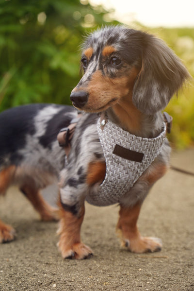 TWEED GREY
