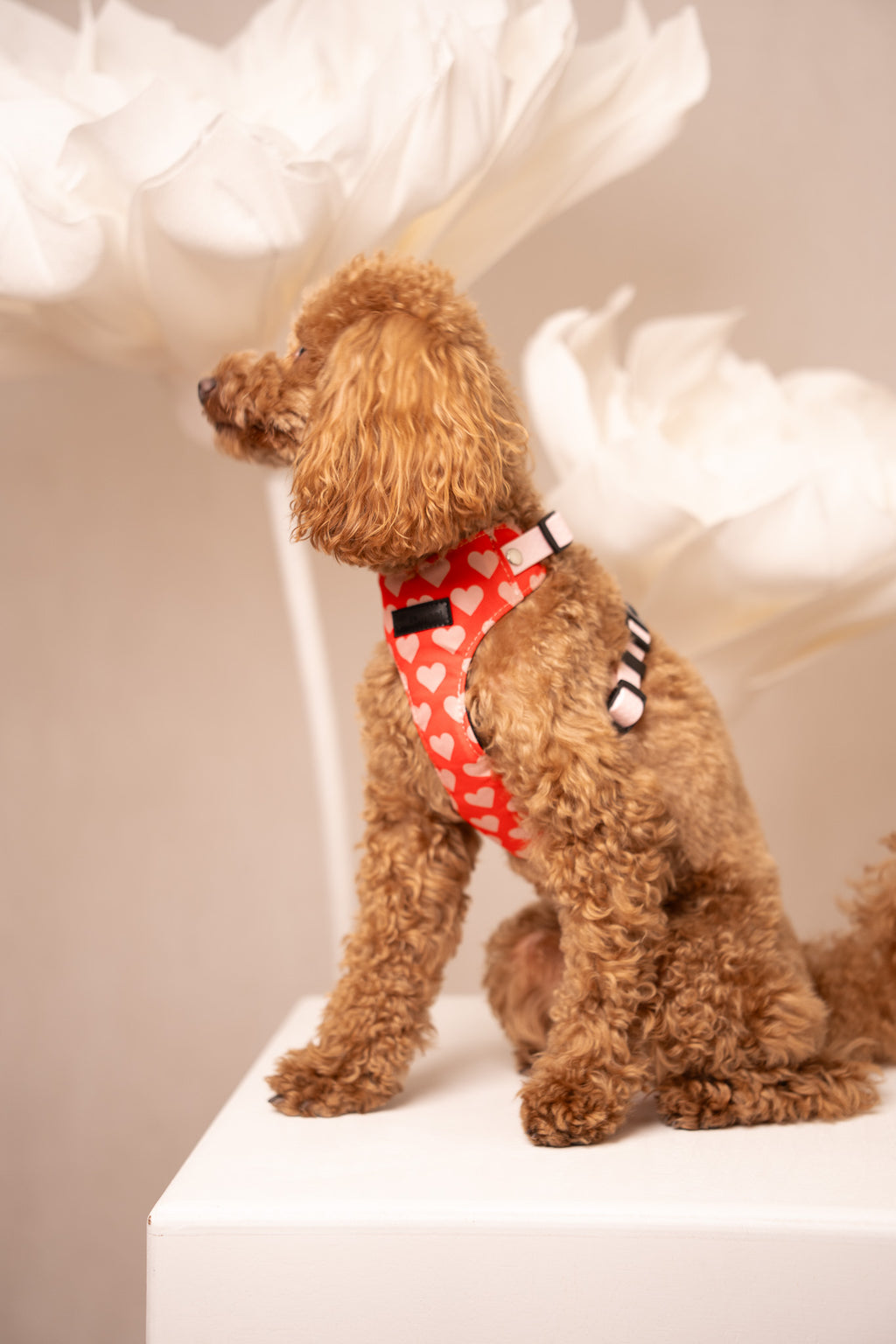 Bezuciskowe szelki guard - HEARTS Psiumpel, dla Psa i dla Ciebie, spaceruj modnie i wygodnie