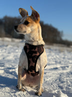 Bezuciskowe szelki guard - WILD Psiumpel, dla Psa i dla Ciebie, spaceruj modnie i wygodnie